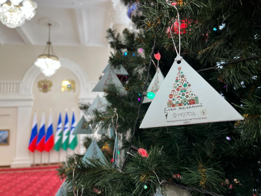 В Кабардино-Балкарии стартовала республиканская акция «Ёлка желаний»